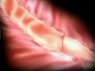 Penderitaan dan Keseronokan 3D Hentai