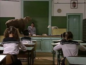 sujo escola italiana