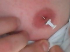 Niples Poco torture 3