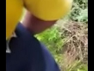 Sauh itu kering di padang