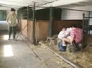 Como ordenhar uma vaca