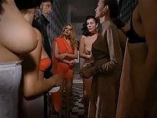Paprika (1991) door Tinto Certainty