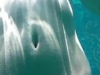 Japanese softcore 135